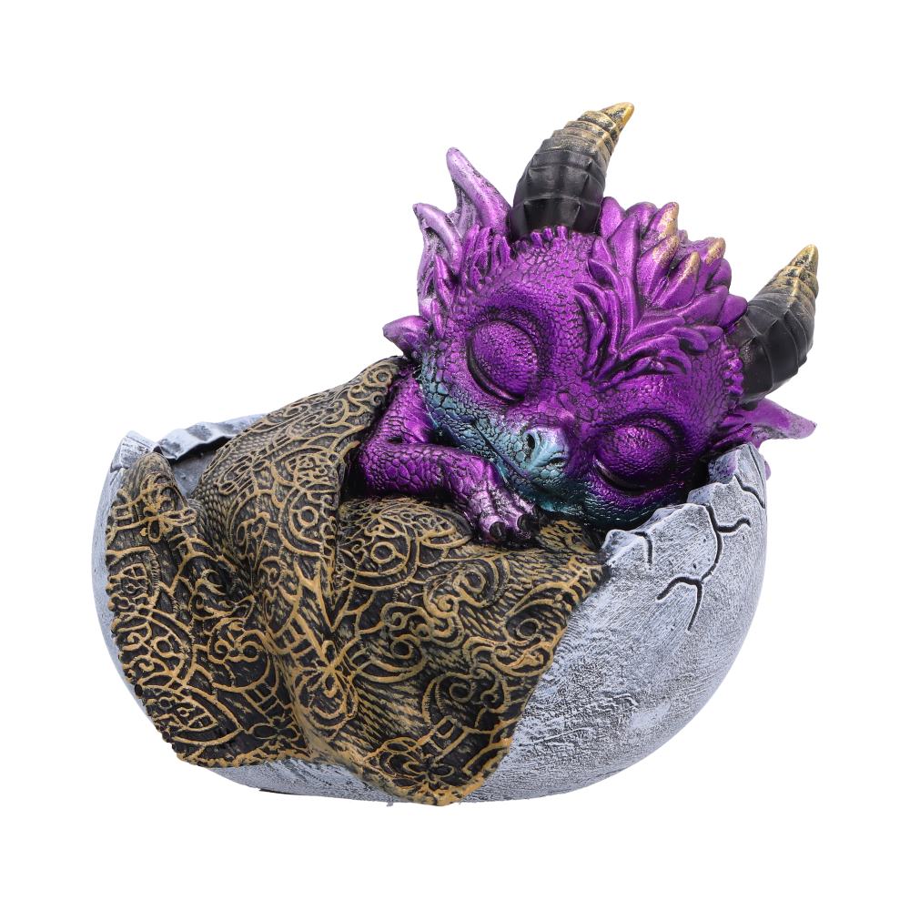 Shellbound Slumber