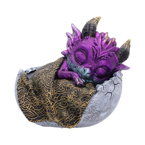 Shellbound Slumber