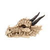 Dragon Skull Box