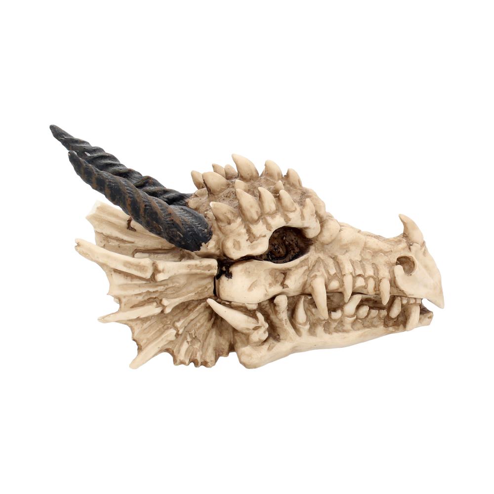 Dragon Skull Box