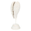 Angel Wings Upright