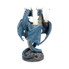 Draco Custos