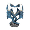 Draco Custos
