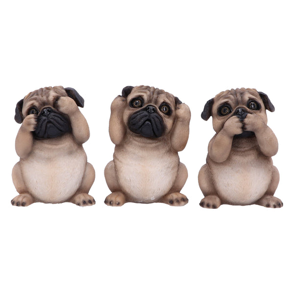 Three Wise Pugs