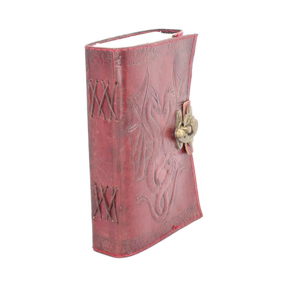 Dbl Dragon Journal