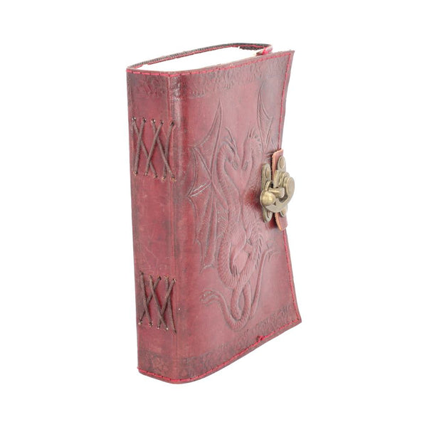 Dbl Dragon Journal