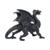 Dragon Watcher