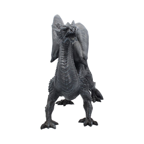 Dragon Watcher