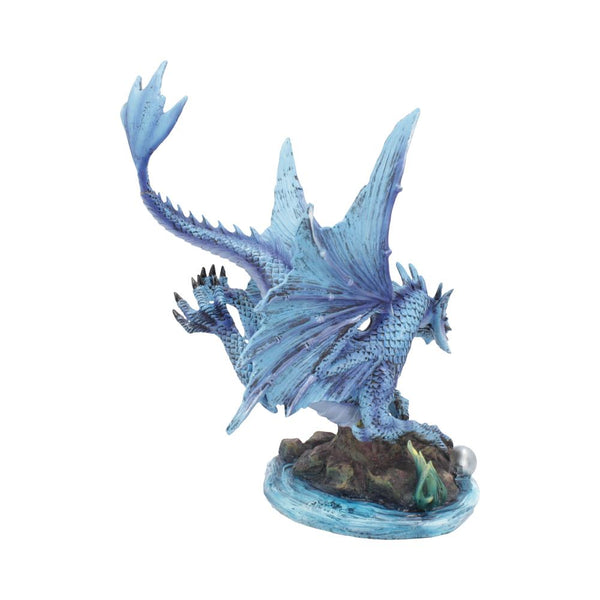 Adult Water Dragon