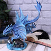 Adult Water Dragon