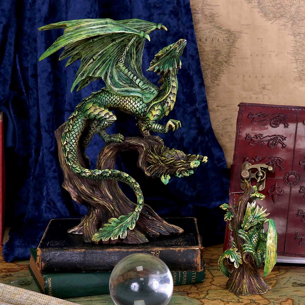 Adult Forest Dragon
