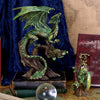 Adult Forest Dragon