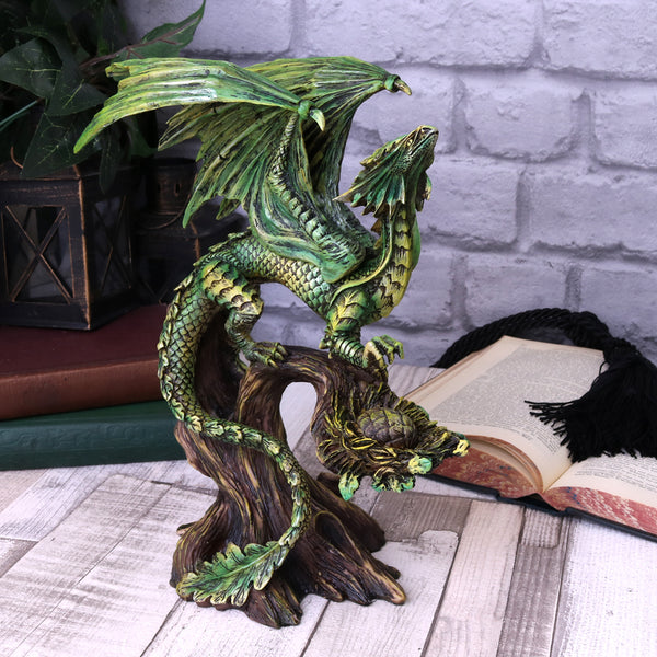 Adult Forest Dragon