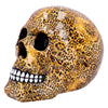 Wild Skull
