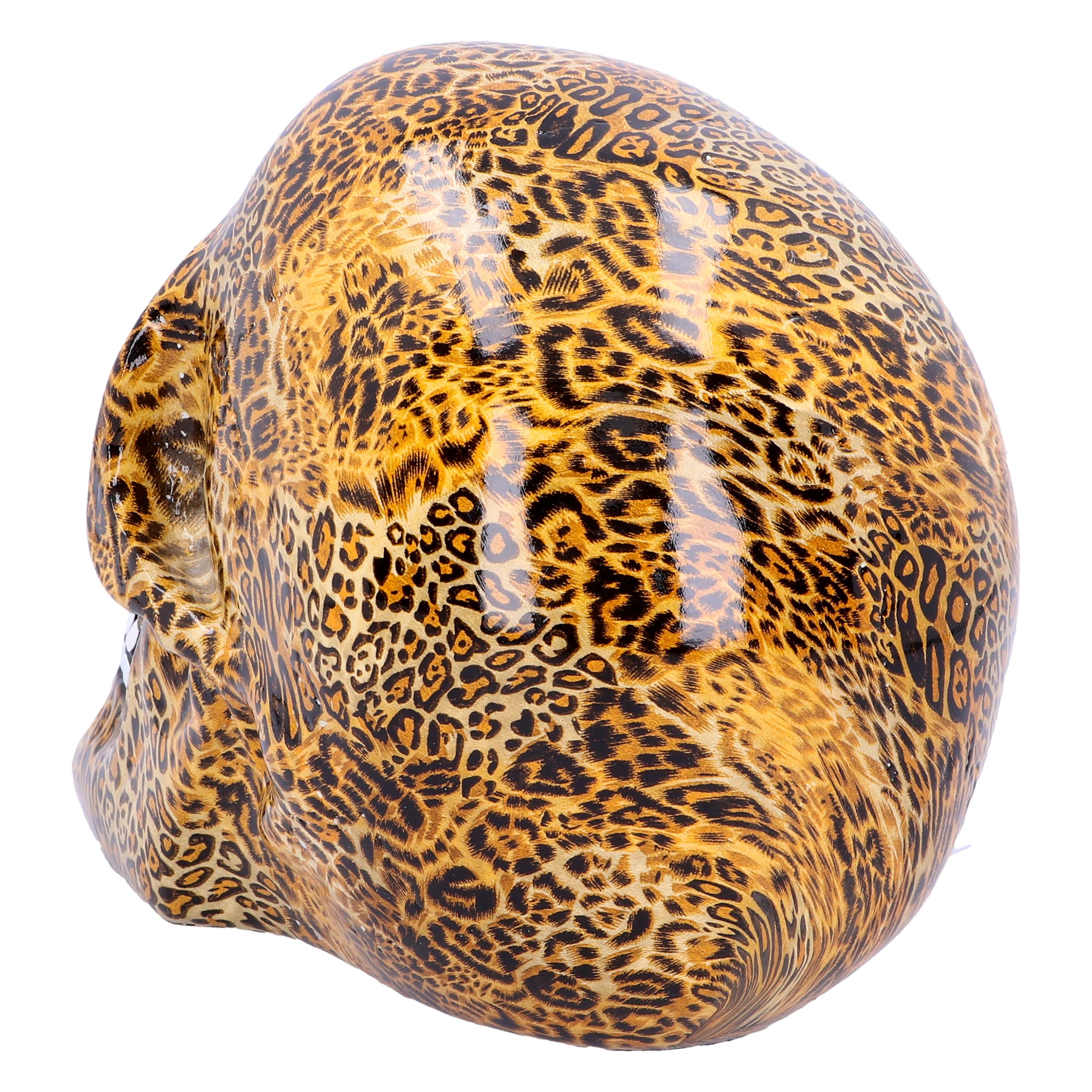 Wild Skull