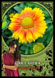Flower Magic Oracle