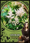 Flower Magic Oracle