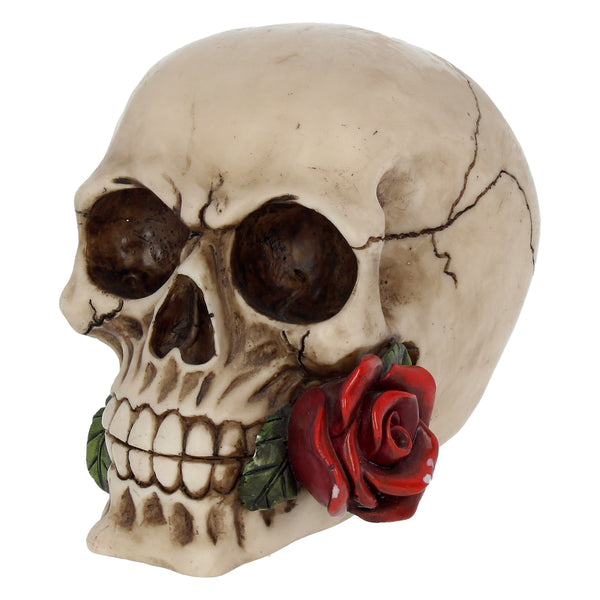Rose From The Dead
