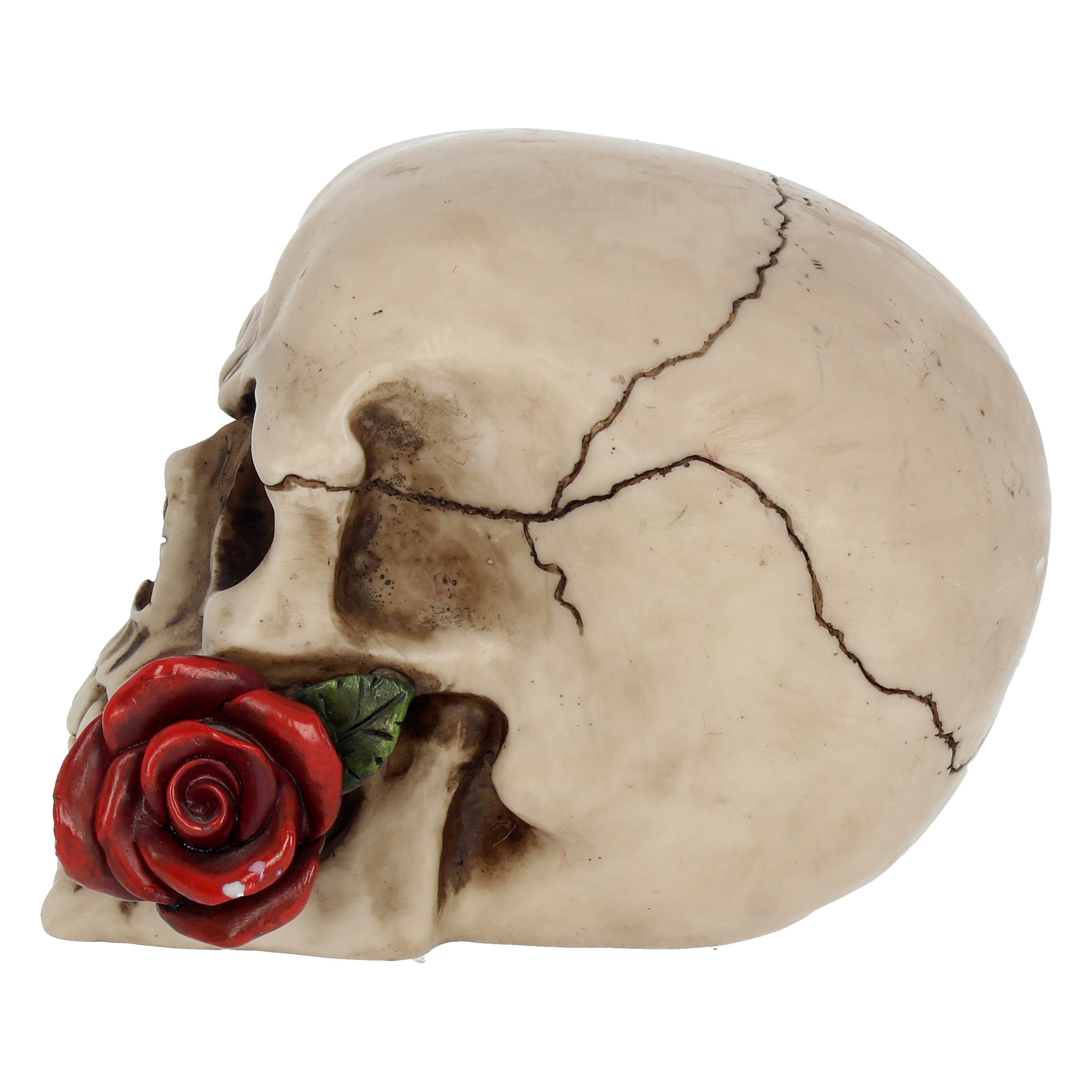 Rose From The Dead