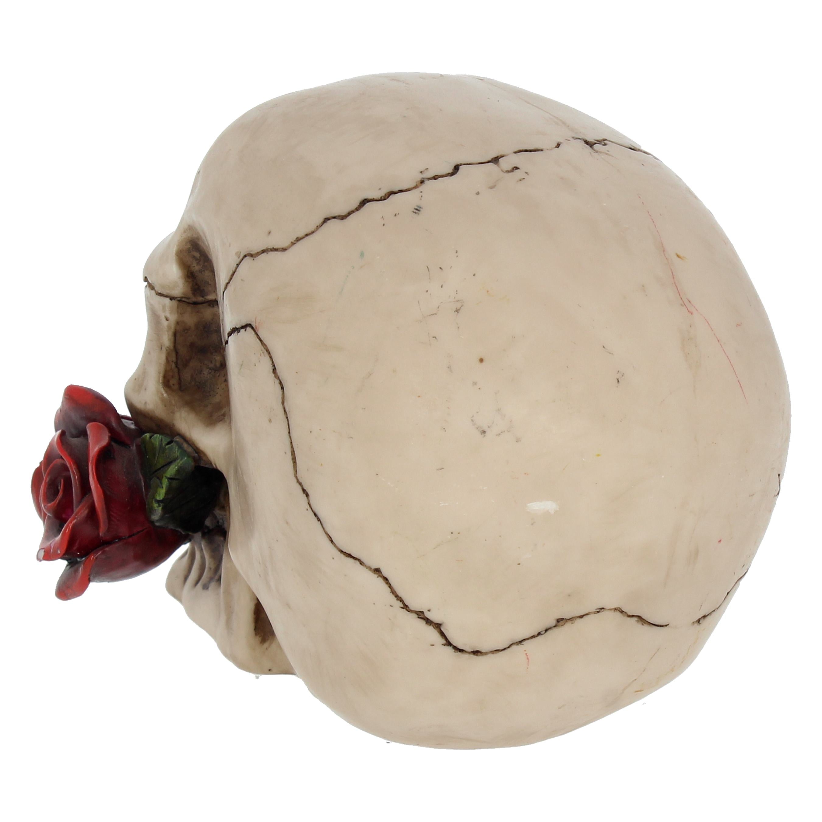 Rose From The Dead