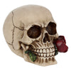 Rose From The Dead