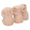 Three Wise Pigs