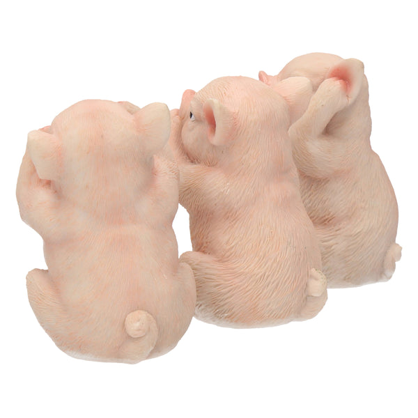 Three Wise Pigs