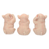 Three Wise Pigs