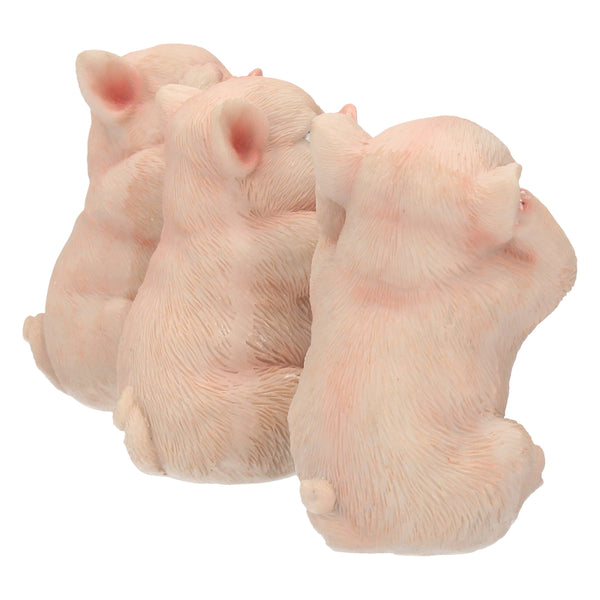 Three Wise Pigs