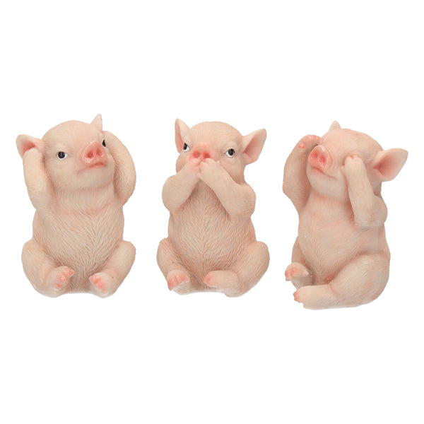 Three Wise Pigs