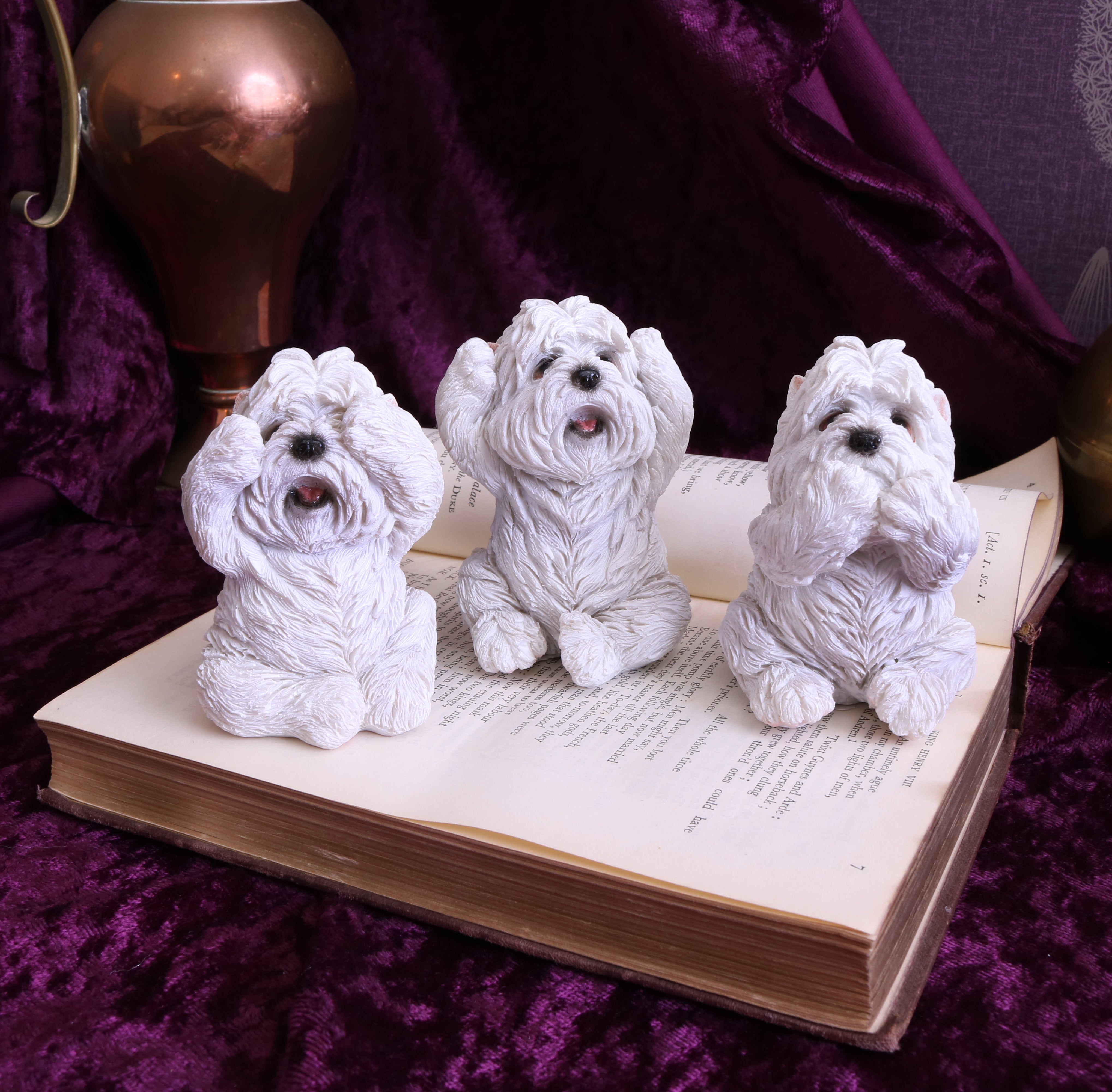 Three Wise Westies