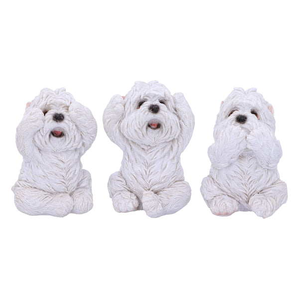 Three Wise Westies