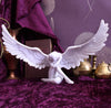 Angels Sympathy