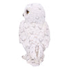 Snowy Watch Small