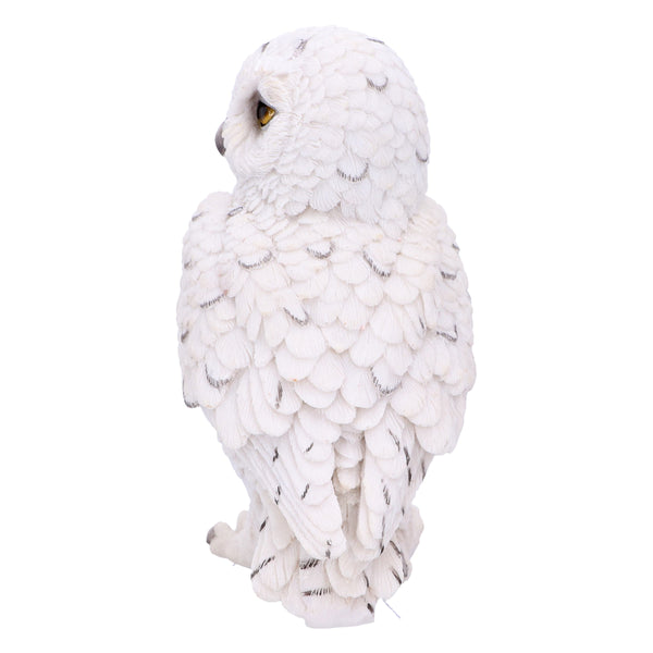 Snowy Watch Small