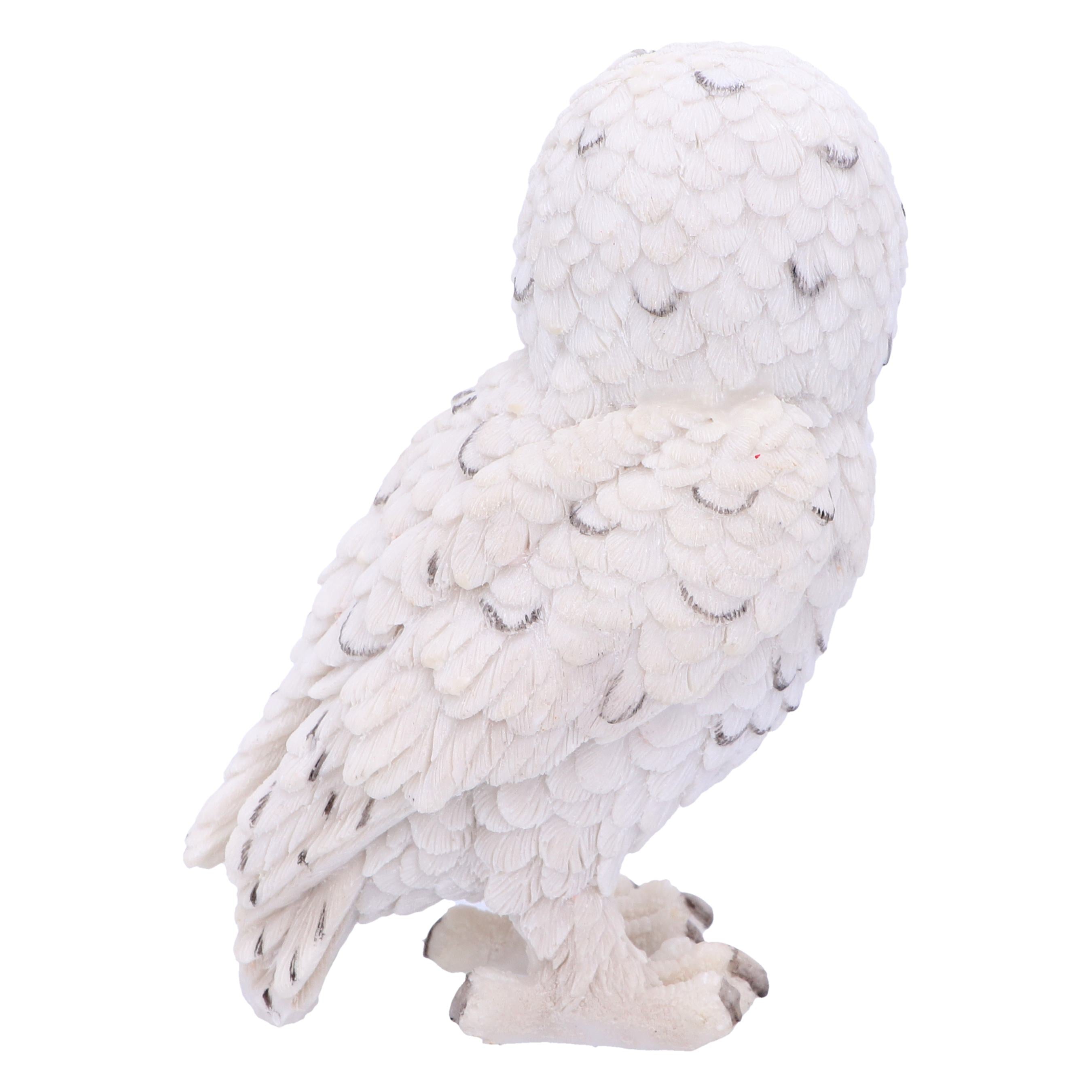 Snowy Watch Small