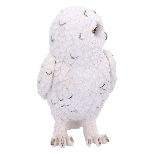 Snowy Watch Small