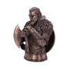 Assassins Creed Valhalla Eivor Bronze
