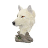 Snow Searcher