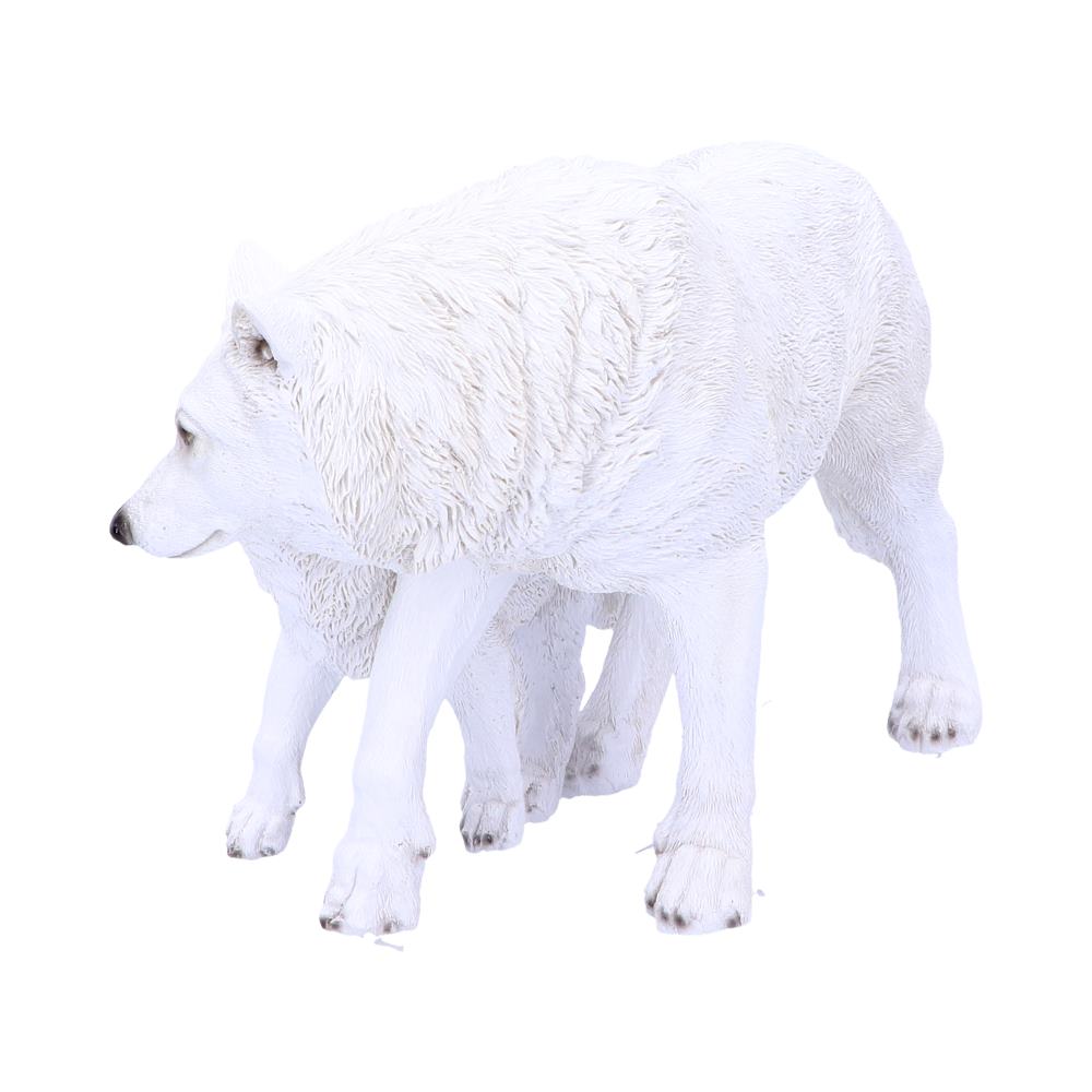 Winter Offspring