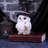 Snowy Magic