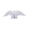 Angels Offering