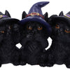 Three Wise Black Cats