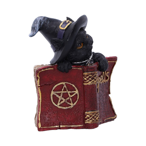 Kittys Grimoire (Red)