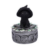 Ivy Familiar Box