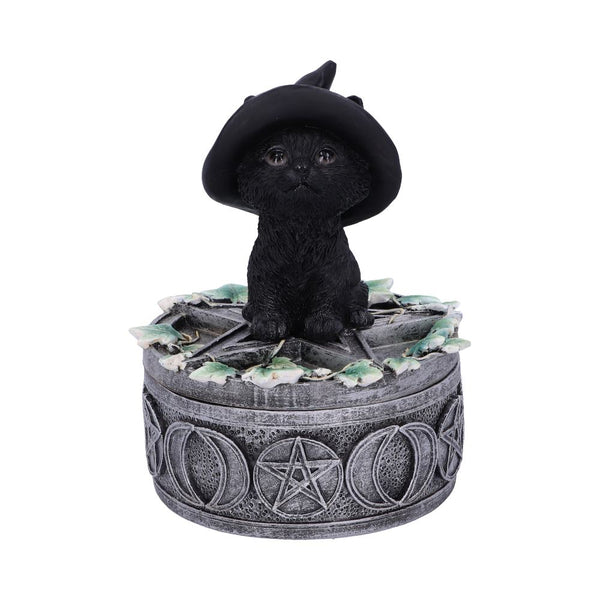 Ivy Familiar Box