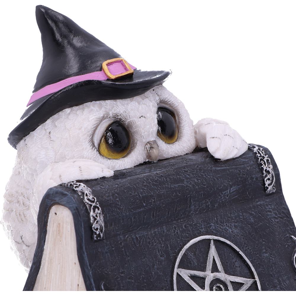 Owls Spell