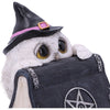 Owls Spell