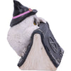 Owls Spell
