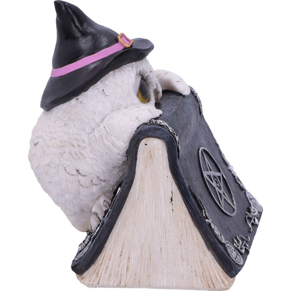 Owls Spell